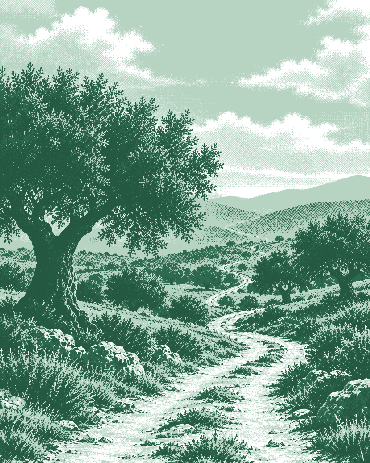 Camino entre olivos que avanza hacia el horizonte, en dither verde
