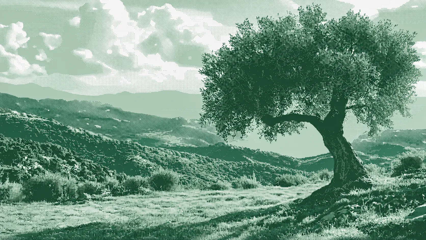Olivo mediterráneo en un paisaje de colinas, con textura dither verde